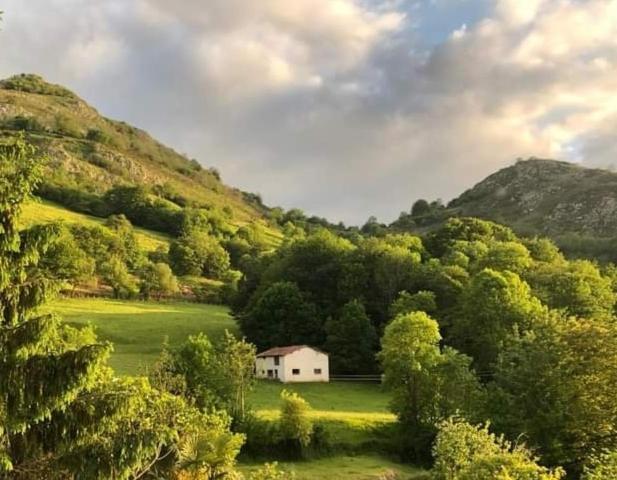 Triple Room Garden View,1639453671:JPEG